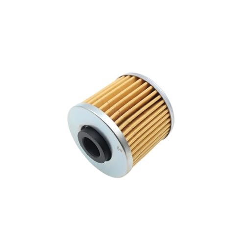 Filtre à huile moteur moto pour rouler serein en Grand Dink 300
