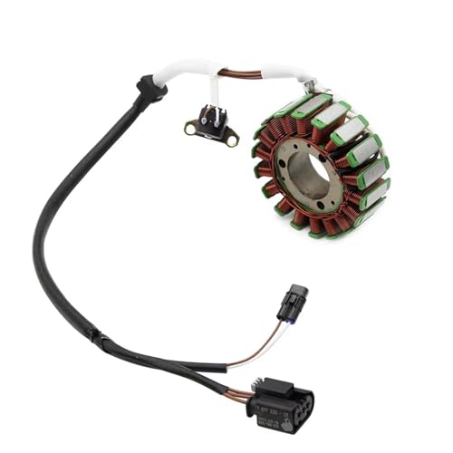 Allumage bobine stator magneto compatible avec G310R G310GS 16-20