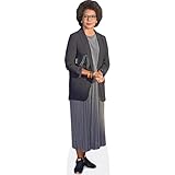 Audrey Pulvar (Grey Dress) Silhouette en Carton Taille Mini