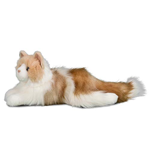 Douglas Kiki Ragdoll Cat, Multicolor