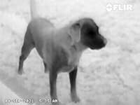 Review Image by Amazon Customer Amazon Customer