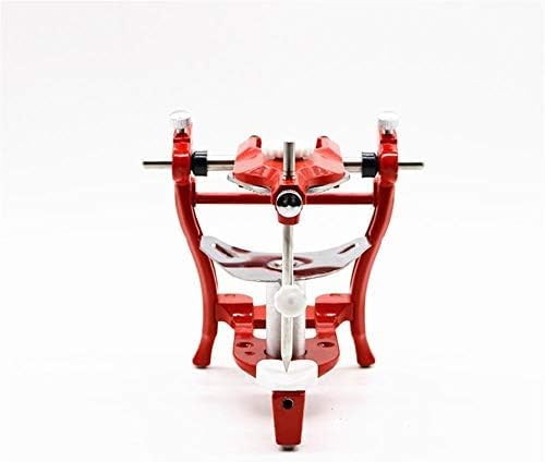 Articolatore in Gesso Regolabile per Bocca Piena Dentale per Odontotecnico Mascella Congiunta Modello di cavità Orale Articolatore Anatomico Strumenti di Laboratorio Dentale,Sensational421