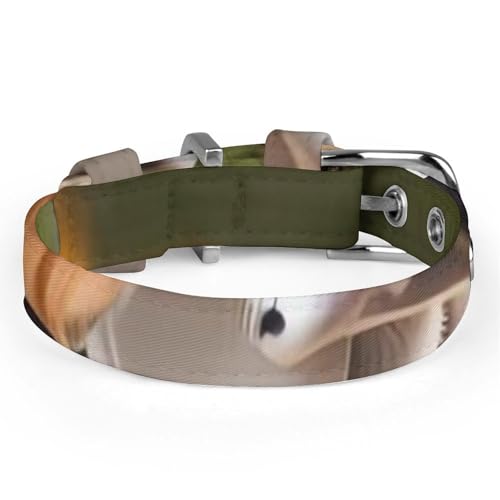 Collier pour chien Beagle réglable - Tailles petite et moyenne