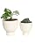 vensovo Terracotta Self Watering Plant Pot - 2 PCS 6 Inch & 8 Inch Terra Cotta Plant Pot with Drainage Hole and Saucer, Small & Large Clay Flower Pot with Tray, Plant Pot for Indoor Outdoor Plant