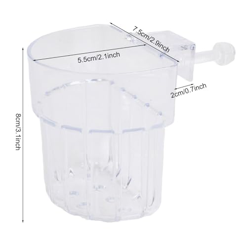 Tasse plante aquarium transparente pour décor aquaponique suspendu - 6