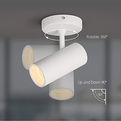 Aisilan Led Monopoint Spot Light Adjustable 90 Degrees Anti Glare Ceiling Spotlight For Indoor Foyer Living Room Warm White 12W Cree Cob Cri 97 Msd015Pw3K12W #TOP1