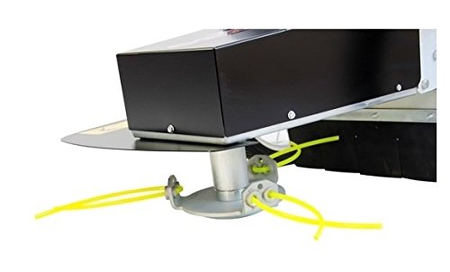 DECESPUGLIATORE a Scoppio su Ruote 4 Tempi Benzina...