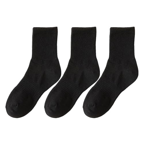 p  \bNX | \tg ʋC ~ 3, JWA J[t\bNX | jAƑAFlAq̂߂̃NX}XAaAVNAC[X^[