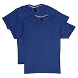 Hanes Men's 2 Pack X-Temp Performance T-Shirt, Deep Royal, Small