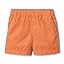 Desert Orange