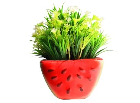 Marboglass India Watermelon Shaped Ceramic Planter for Home Gardening,Indoor, Outdoor, Patio, Multicolour (Length-15 cm, Width-7.5 cm, Height-9.5cm)-image-20