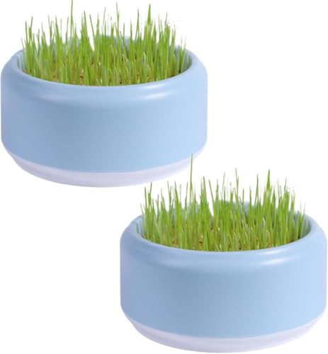 Brfveob 猫草栽培キット 猫草の種 通気性 土不要 猫草のおやつ 発芽が早い 安全 丈夫 排水簡単 猫草 猫草 植木鉢 猫の PP素材 水耕キット 植木鉢ボックス 猫用品 (2個)。猫草の種セット のんびり水耕 猫の 猫の毛玉取り ペット用品 (グリ