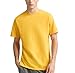 Champion mens Classic Jersey Tee Shirt, Team Gold, Medium US