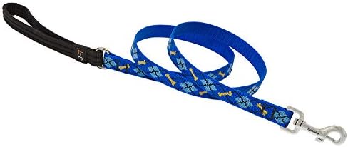 Lupinepet Originals 3/4" Dapper Dog 6-Foot Padded Handle Leash for Medium and Larger Dogs
