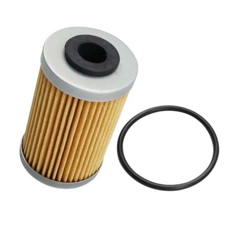 Filtre à huile de moto Enduro pour Betamotor 250 et Duke 125