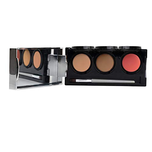 Dermaflage Tattoo Cover Up Makeup (Light Tan) - Bruise Full Coverage Concealer - Full Coverage Waterproof Concealer for Bruise,Scar & Acne - Smudge Proof Body Makeup Palette with 3Pro SFX Shades+Brush