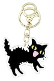 [miwaki] シャーする 猫 アクリルキーホルダー ナスカン キーリング シンプル キャット モチーフ アレルギー対応 エポキシ樹脂 レジン 手描き 日本製 sya-ac 黒猫