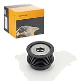 Conti Generatorfreilauf passend für C-Max Focus Grand Kuga | AP9126