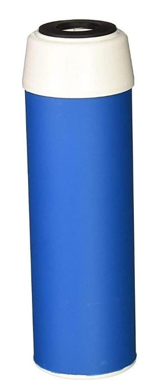 Granular Activated Carbon Filter, 10 x 2.5 in, GAC-10