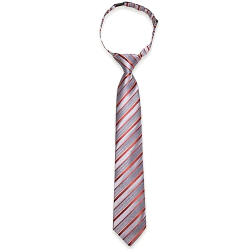 Image of Barry.Wang Boys Ties School Pre-Tied Kids Necktie Handkerchief Clip Set Uniforms Child Ties for 8-14 Years Wedding Party