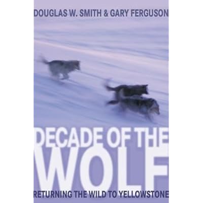 Decade Of The Wolf: Returning The Wild To Yellowstone