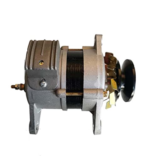 OLONETO Pure Copper Permanent Magnet Generator