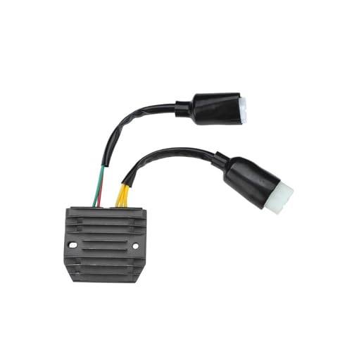 Régulateur de tension redresseur contre panne de batterie CBF1000 - 2