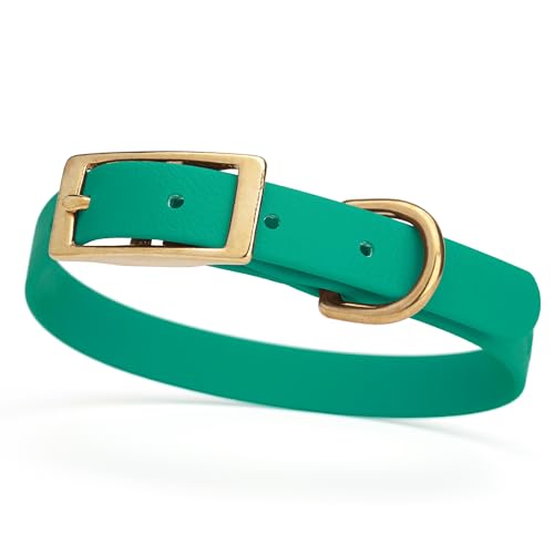 Image of Viper Biothane Heavy Duty Waterproof Dog Collar Strong Coated Nylon Webbing w /Solid Brass Hardware Odor-Proof Easy to Clean High Performance Fits Small Medium or Large Dogs, Teal