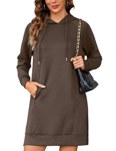Quenteen 2XL Plus Size Sweatshirt Dress For Women 2025 Fall Hoodie Dress Oversize Casual Dress With Pockets Coffee