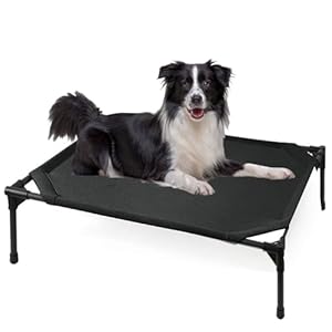 Elevated Dog Beds for Medium Dogs, Portable Raised Medium Dog Bed for Indoor & Outdoor Use, No-Slip Feet Pet Cots, Pet Hammock with Breathable Mesh, Black