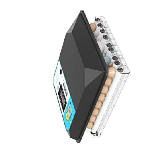 tm&w TM&W- | Egg Incubator 64 Egg Incubator Eggs Automatic Turning Poultry Hatcher Machine Tem perature Control Breeder for Hatching Chicken Duck Quails Birds" (64 egg incubator black)-picture-10