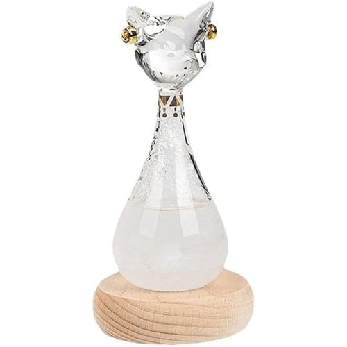 AKILERGWvgLNX^KX^u[VC\{g\ؐx[X㑕CeAaNX}XjMtg (GWvgLʓIMtg{bNX,12*5*7cm)