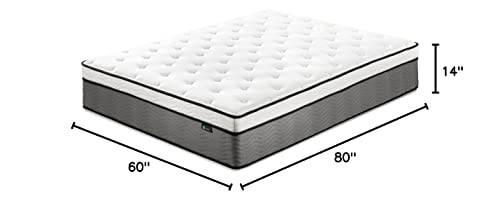 https://m.media-amazon.com/images/I/31cEOlye2pL._SL500_.jpg