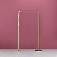 Clothing Rack,Coat Stand Floor Coat Rack Wrought Iron Bedroom Hallway Hanger Home Dressing Room Floor Clothing Rack/D B/80 * 30 * 150Cm