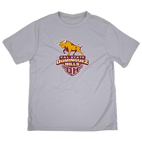 Official NCAA Collegiate Youth Kids for Boys & Girls Sport Active T-Shirt Primary Logo Athletic Heather Collection