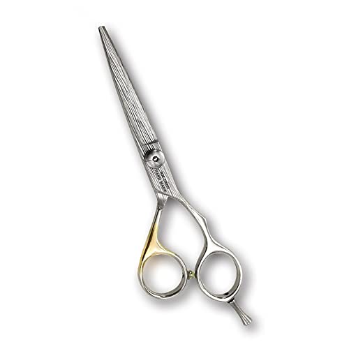 Professional-Barber-Hair-Scissors-ROMONIX-Japanese-Stainless-Steel-Salon-Scissors-6-inch-Fine-Adjustment-Tension-Screw-Germany-Premium-Shears-for-Hair-Cutting-Hand-Made-JAPAN