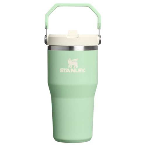 Stanley IceFlow 2.0 Flip Straw Tumbler with Handle 20 oz | Twist On Lid and Flip Up Straw | Leakproof Water Bottle | Insulated Stainless Steel | BPA-Free | Pistachio