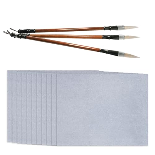 Fewdart 12 pezzi carta per esercizi calligrafia cinese A4 30x20 cm + 3 pennelli brush pen per calligrafia cinese, esercizi paper chinese calligraphy set per principianti
