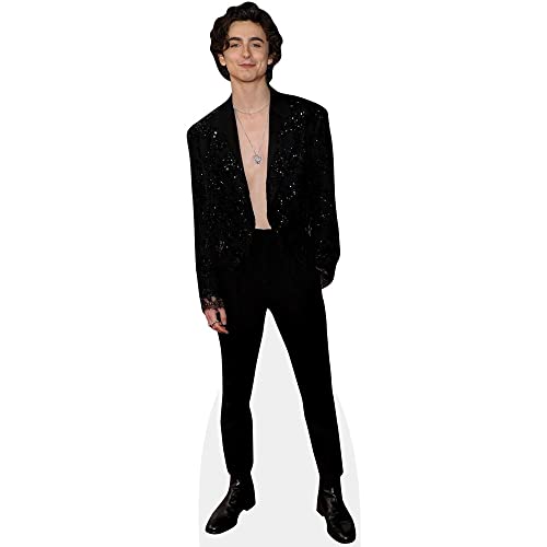 Timothée Chalamet (Topless) Mini Size Cutout