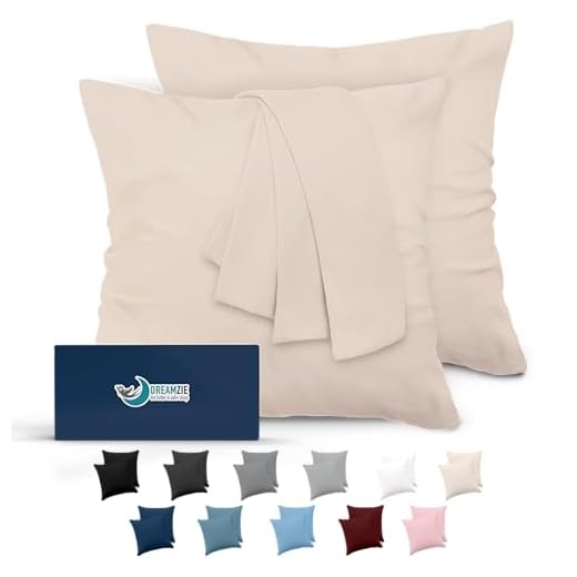 Dreamzie Taie Oreiller 65x65 Lot de 2 en Microfibre Certifiée Oeko-Tex - Housse Coussin Douce Et Brossée, Toucher Peau de Pêche - Beige