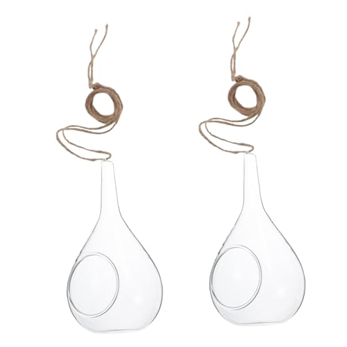 FUTUREORYY 2piezas Maceteros Colgantes De Vidrio Ecológicos Cónicos para Plantas Hidropónicas Decoración Interior Resistente