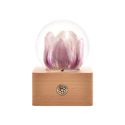 MISS LI GARDEN Forever Flowers Pink Tulip in 3D Crystal Ball Elegant Present for Girlfriend Wife Mom Women Enchanted Birthday Anniversary Wedding Home Decor