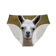 Alpaca