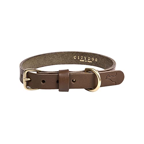 [citydog/VeBhbO] NVbNU[J[  b  {v v [h Lk   킢 n[lX Vv qD 2  ^ ^ ^ Y { v  U[ El ł U  S