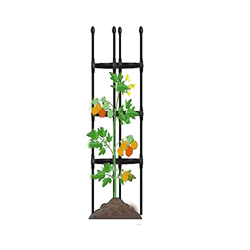 Obelisco per Gabbie Pomodori,Gabbie di Supporto per Piante,125-160-195cm，tralicci per Piante rampicanti Indoor Outdoor, Supporto per Pomodori Vite Frutta Rose Rampicanti Piante (Size : 9.8/25cm Dia.