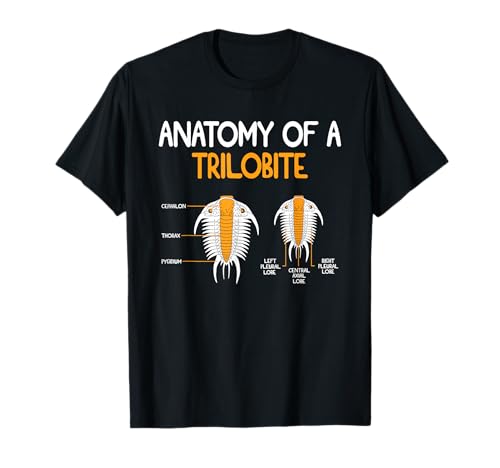 Anatomía De Trilobite Divertido Paleontólogo Fossil Hunter Camiseta