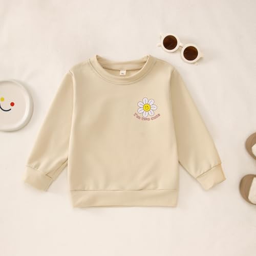 CM C&M WODRO Toddler Girl 2nd Birthday Sweatshirt I’M Two Cute Birthday Pullover Shirt Baby Crewneck Long Sleeve Fall Outfit4