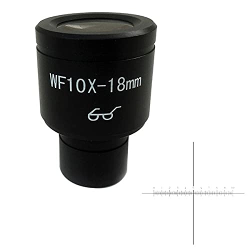 �������ώ@ WF10X 18mm�������̐ڊ჌���Y�A���`�N���X�P�[����23.2mm�̌�����(With scale)
