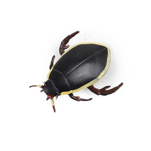 V~[V̂onchidsmantis SpadebeetleV~[Vfz[K[f
