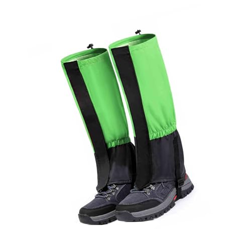 nCLOQC^[ yʃMXJo[AjOpAEghA߉\EH[LOMA(Green,L)